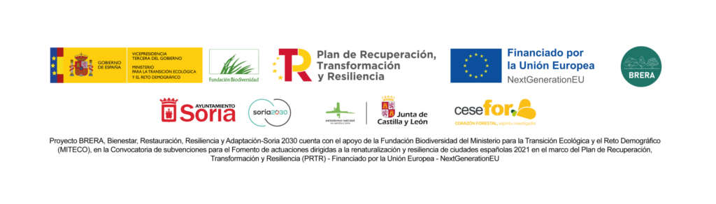 Soria 2030